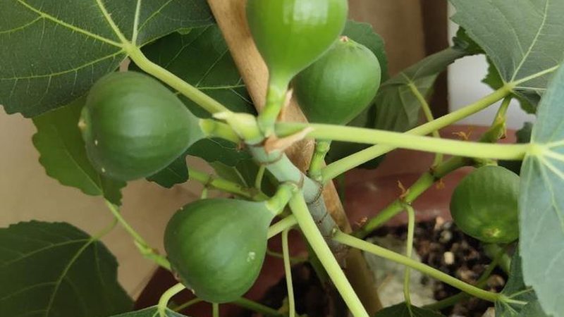 弱电集成系统施工流程：揭秘其关键步骤与注意事项